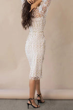 Floral Passions Embroidered Sheer balloon sleeve Fitted Midi Dress